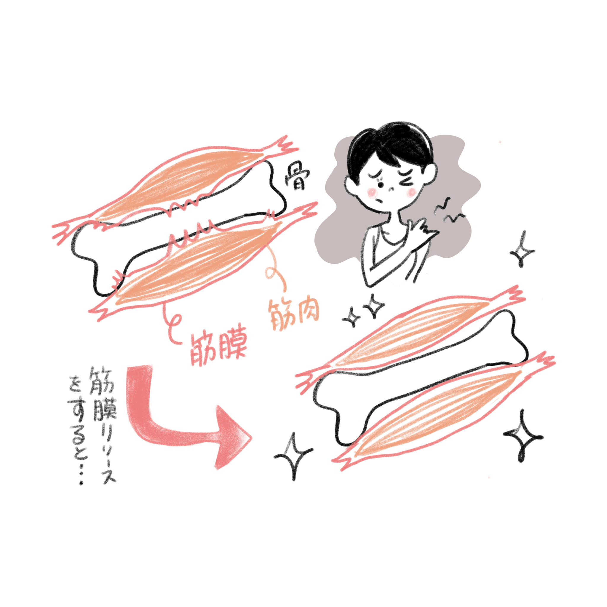 筋膜が動きと感覚のつながりに関与するイメージ