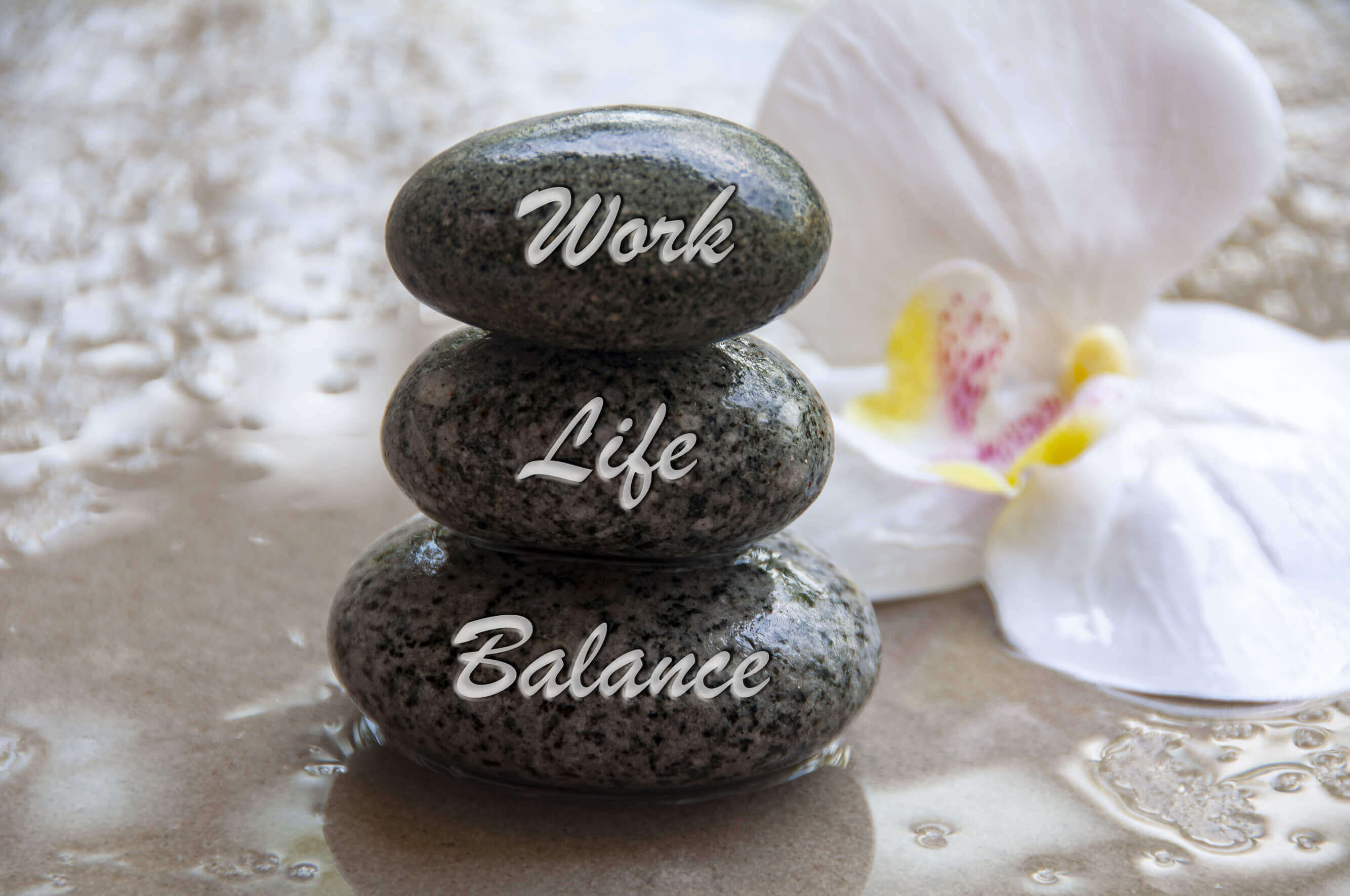 栃木県の筋膜リリース&エステ|BODYFABMAINTENANCE|福利厚生・待遇